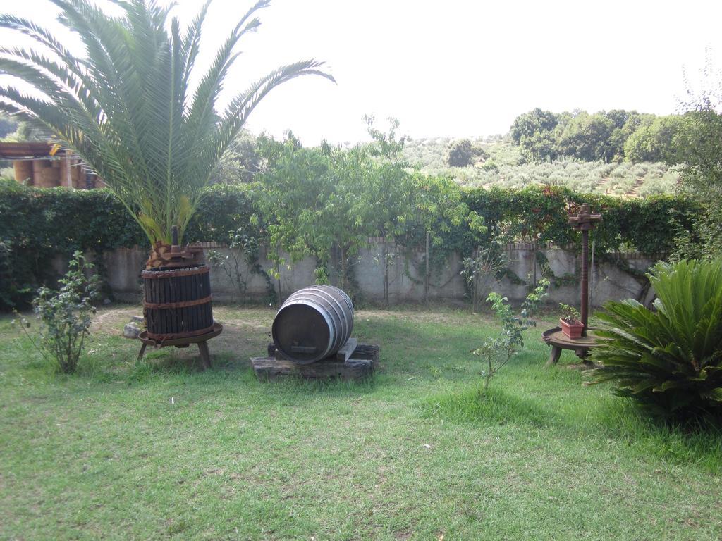 B&B Vaiana Maida Exterior photo